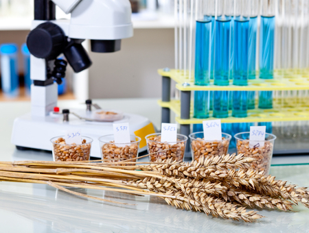 Food Testing Microscope Vials Wheat