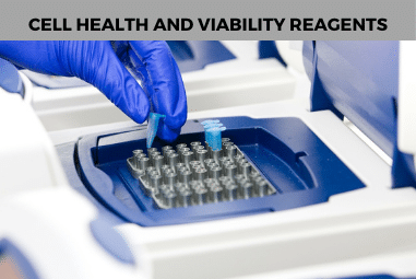 Cell Health and Viability Reagents