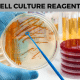 cell culture reagents