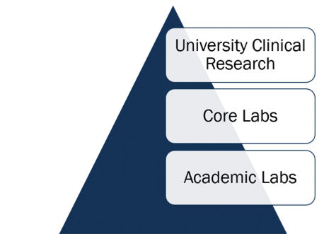 Academic Labs pyramid
