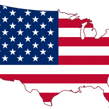 United States Map Flag
